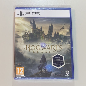 Hogwarts Legacy ps5